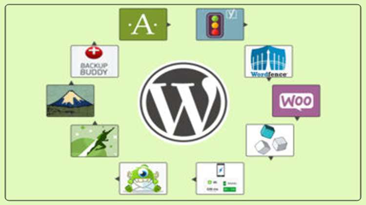 Important-WordPress-plugins-for-business