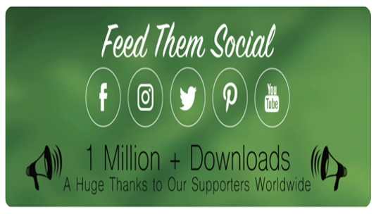 Feed-Them-Social-Plugin-wordpress
