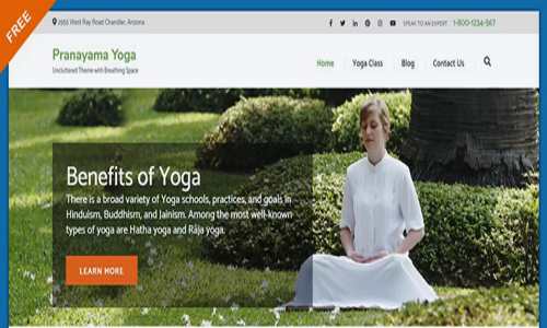 برای راه اندازی سایت یوگا از قالب Pranayama-Yoga استفاده کنید