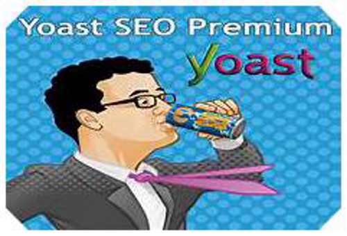 plugin-yoast-seo-premium